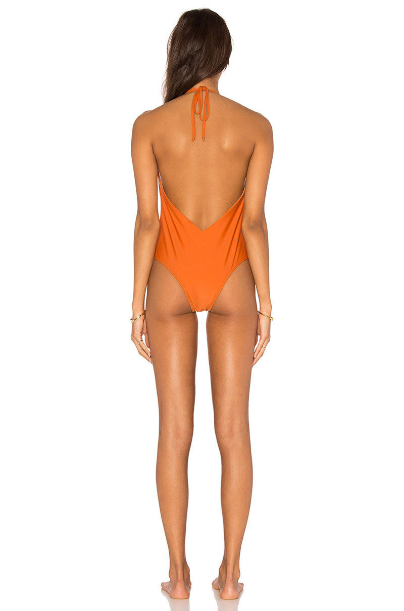 Surry Deep-V One-Piece Swimsuit SALT SWIMWEAR
